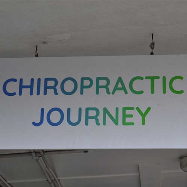 Chiropractic Journey